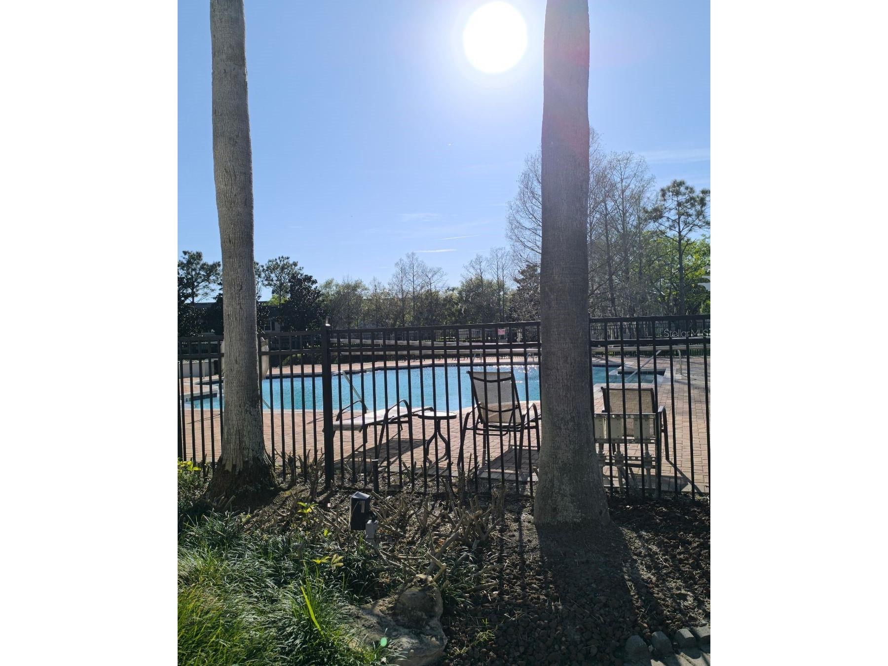 131 Southern Pecan Circle #201 Winter Garden FL 34787 O6393946 image19
