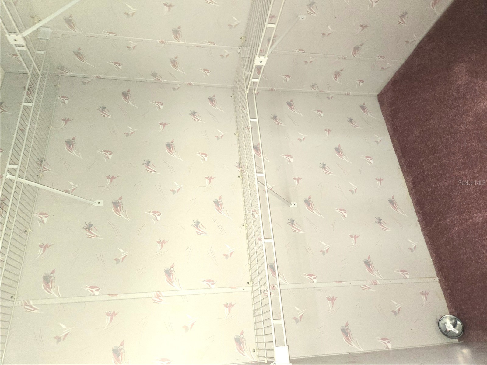 131 Victoria Drive Haines City FL 33844 - LAKE HENRY P4937914 image42