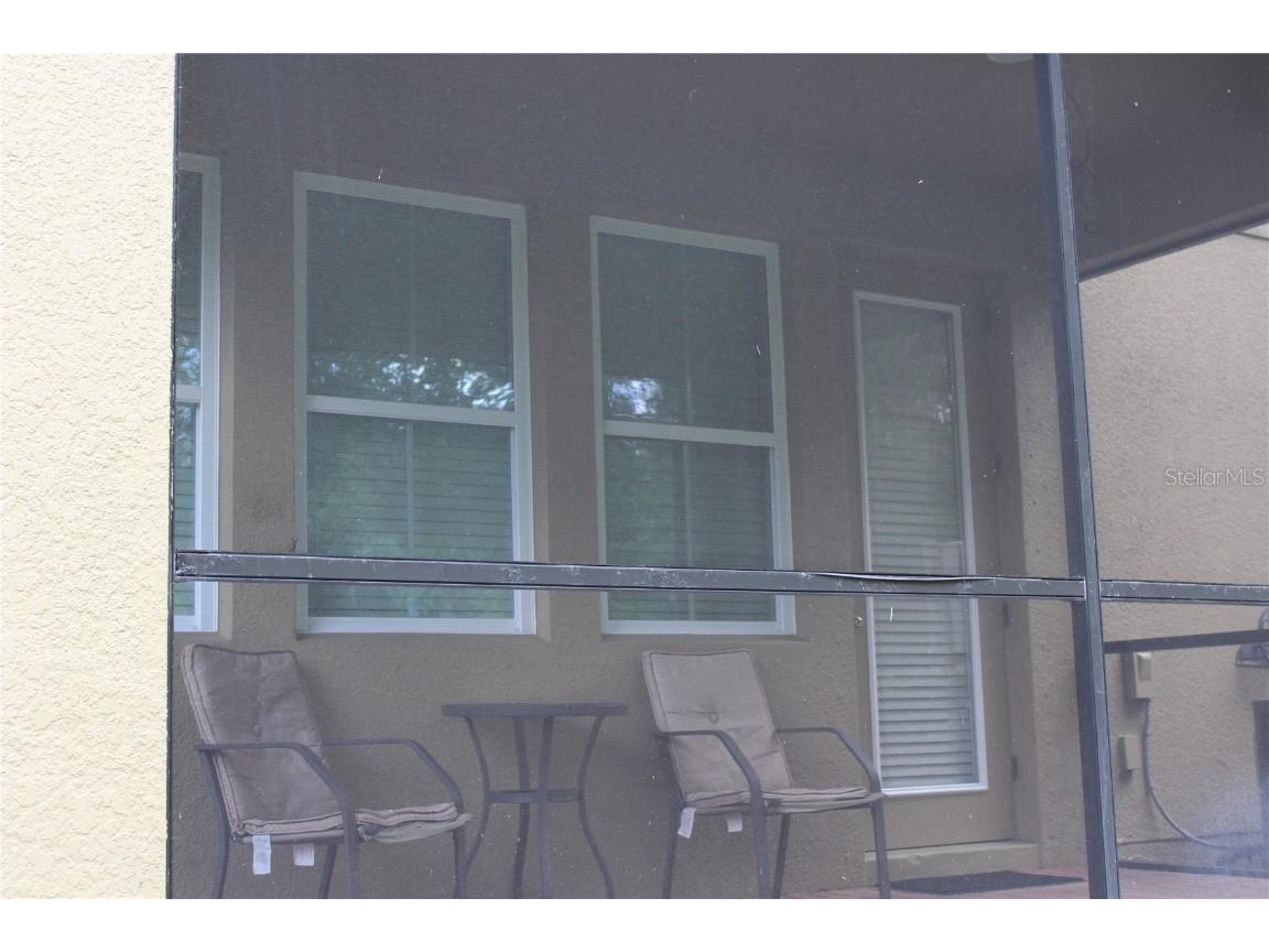 131 Villa Preserve Avenue Lutz FL 33548 TB8448515 image10