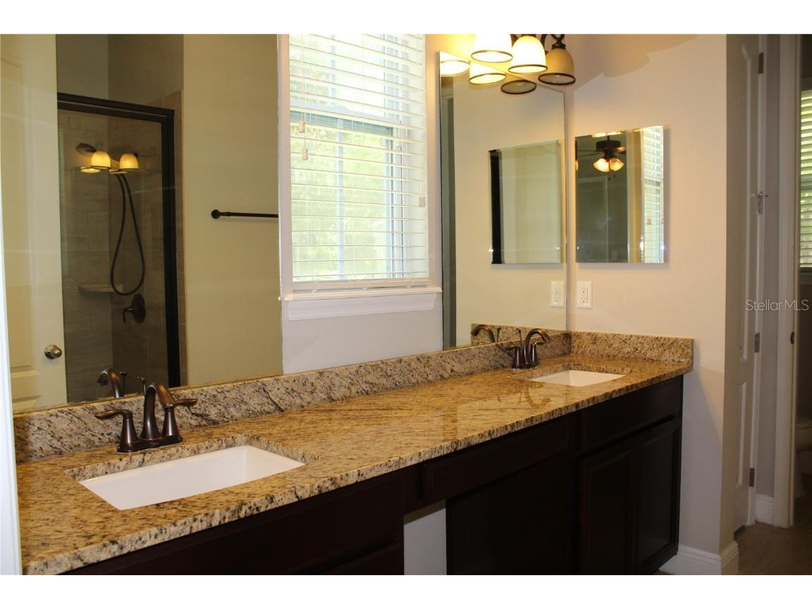 131 Villa Preserve Avenue Lutz FL 33548 TB8448515 image17