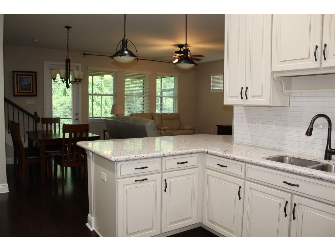 131 Villa Preserve Avenue Lutz FL 33548 TB8448515 image24