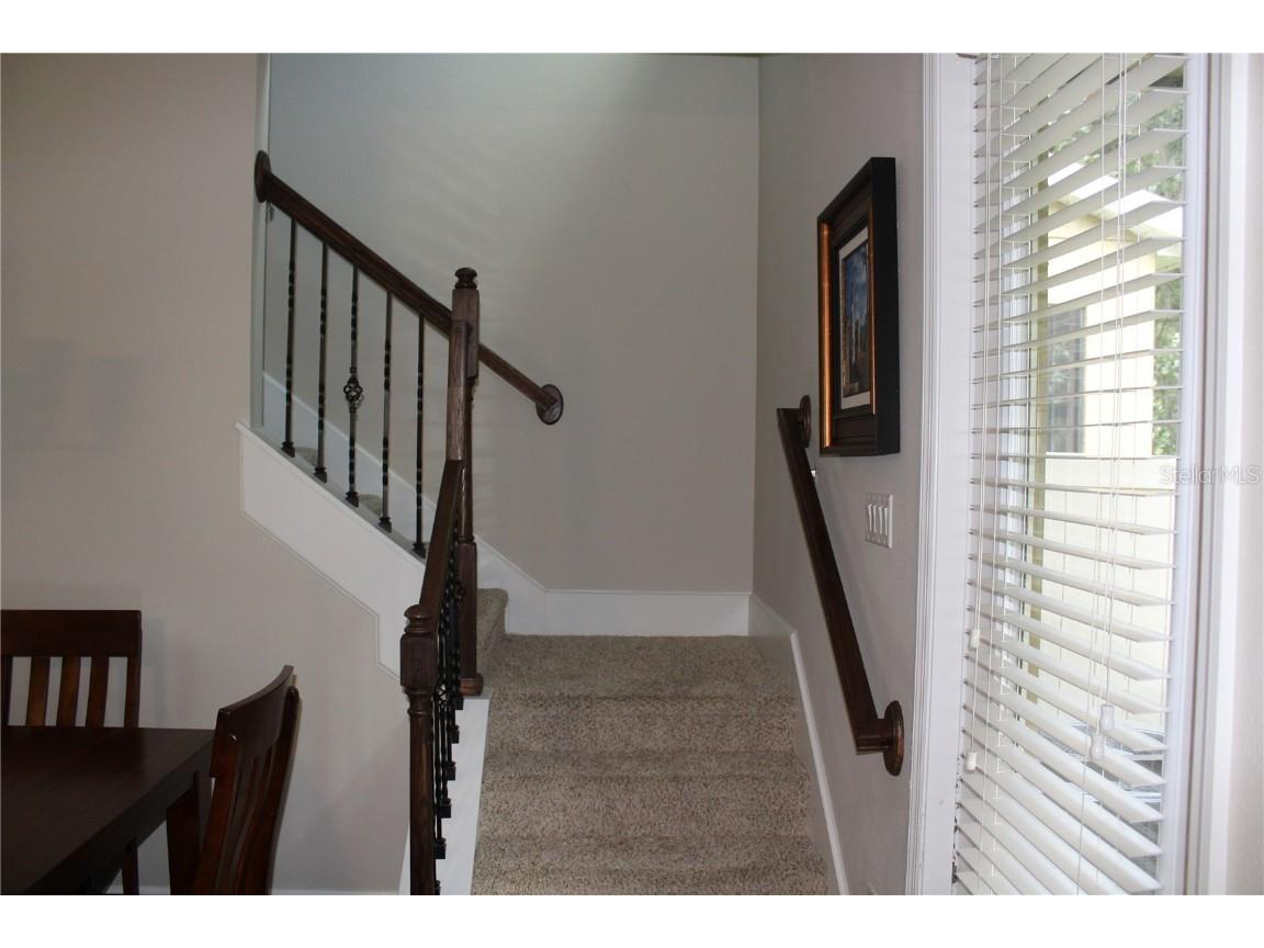 131 Villa Preserve Avenue Lutz FL 33548 TB8448515 image26