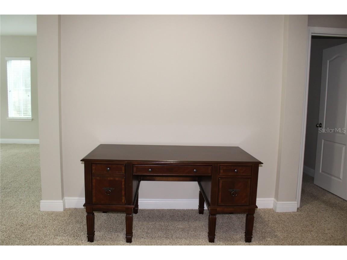 131 Villa Preserve Avenue Lutz FL 33548 TB8448515 image3