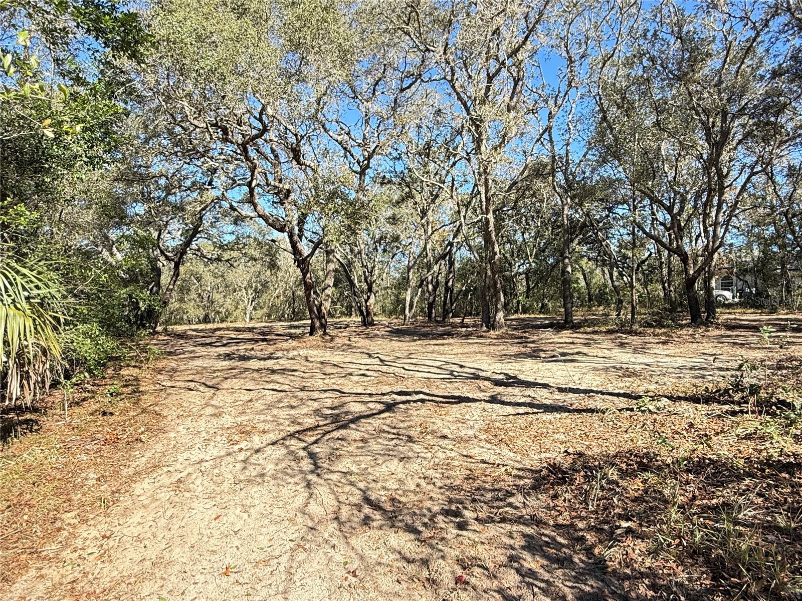 131 W Massachusetts Street Hernando FL 34442 TB8466039 image2