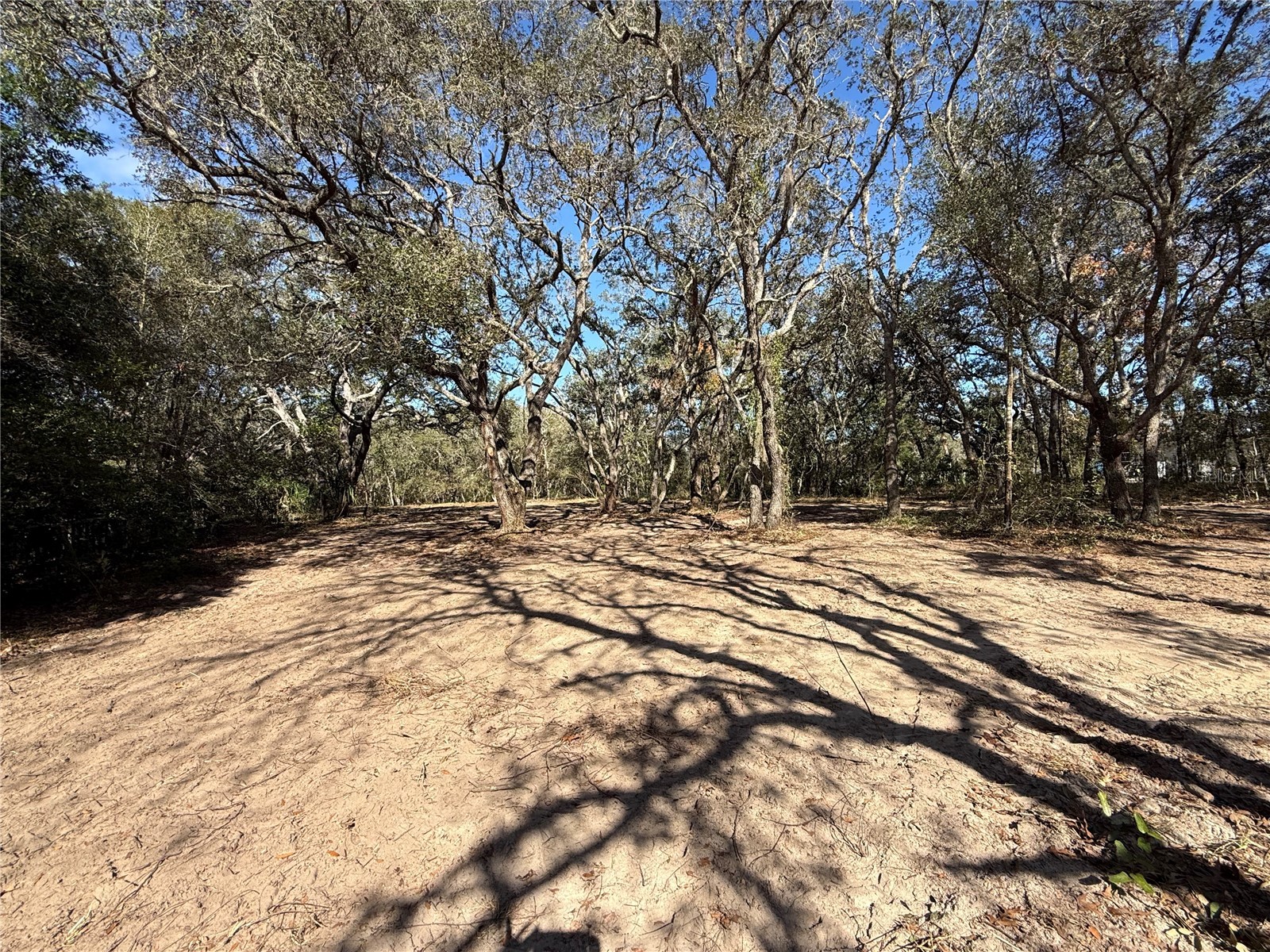 131 W Massachusetts Street Hernando FL 34442 TB8466039 image3