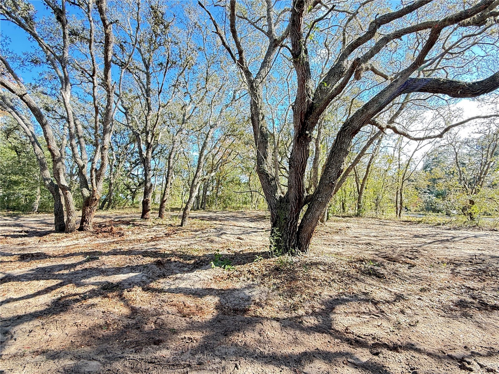 131 W Massachusetts Street Hernando FL 34442 TB8466039 image4