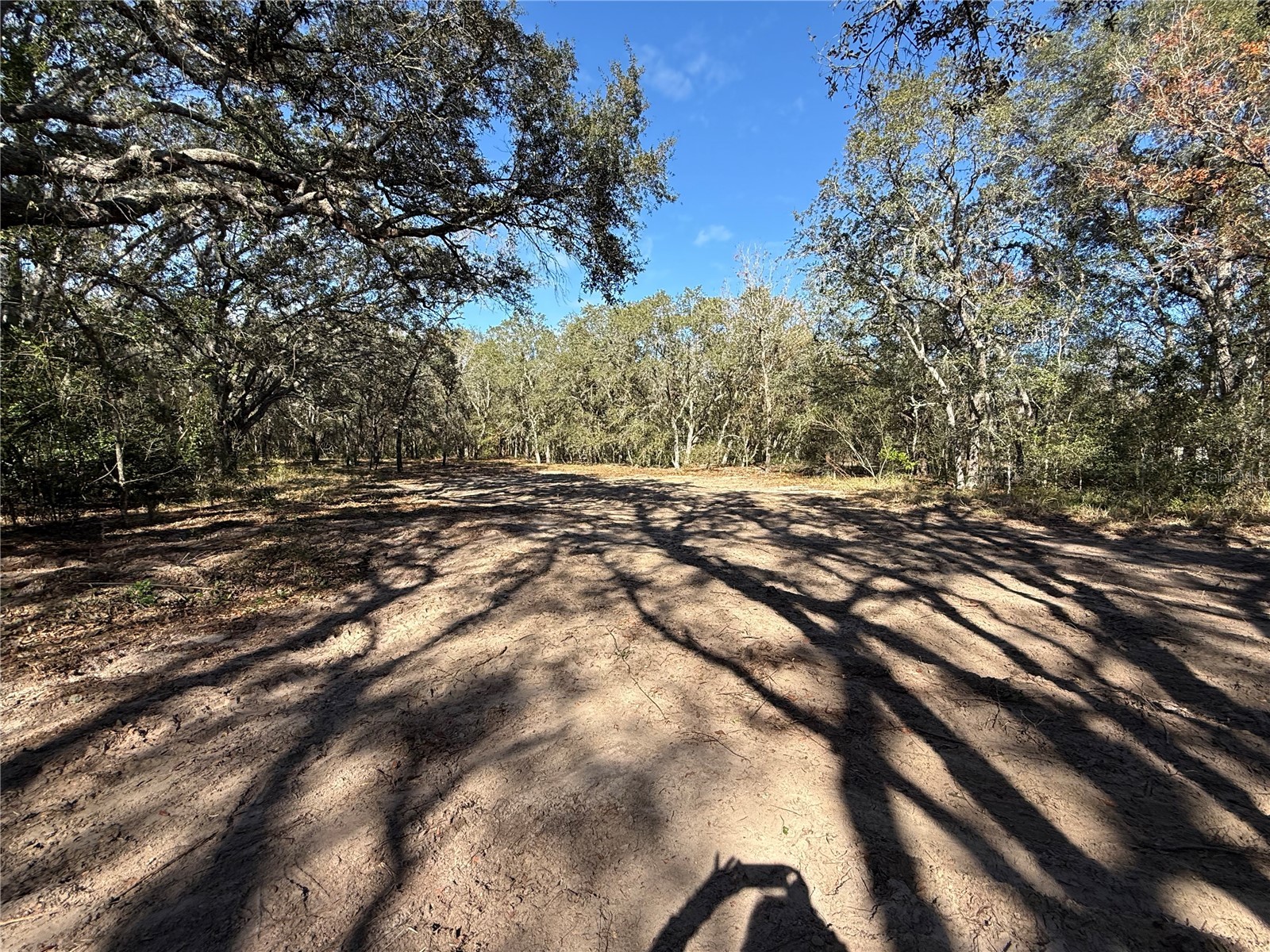 131 W Massachusetts Street Hernando FL 34442 TB8466039 image5