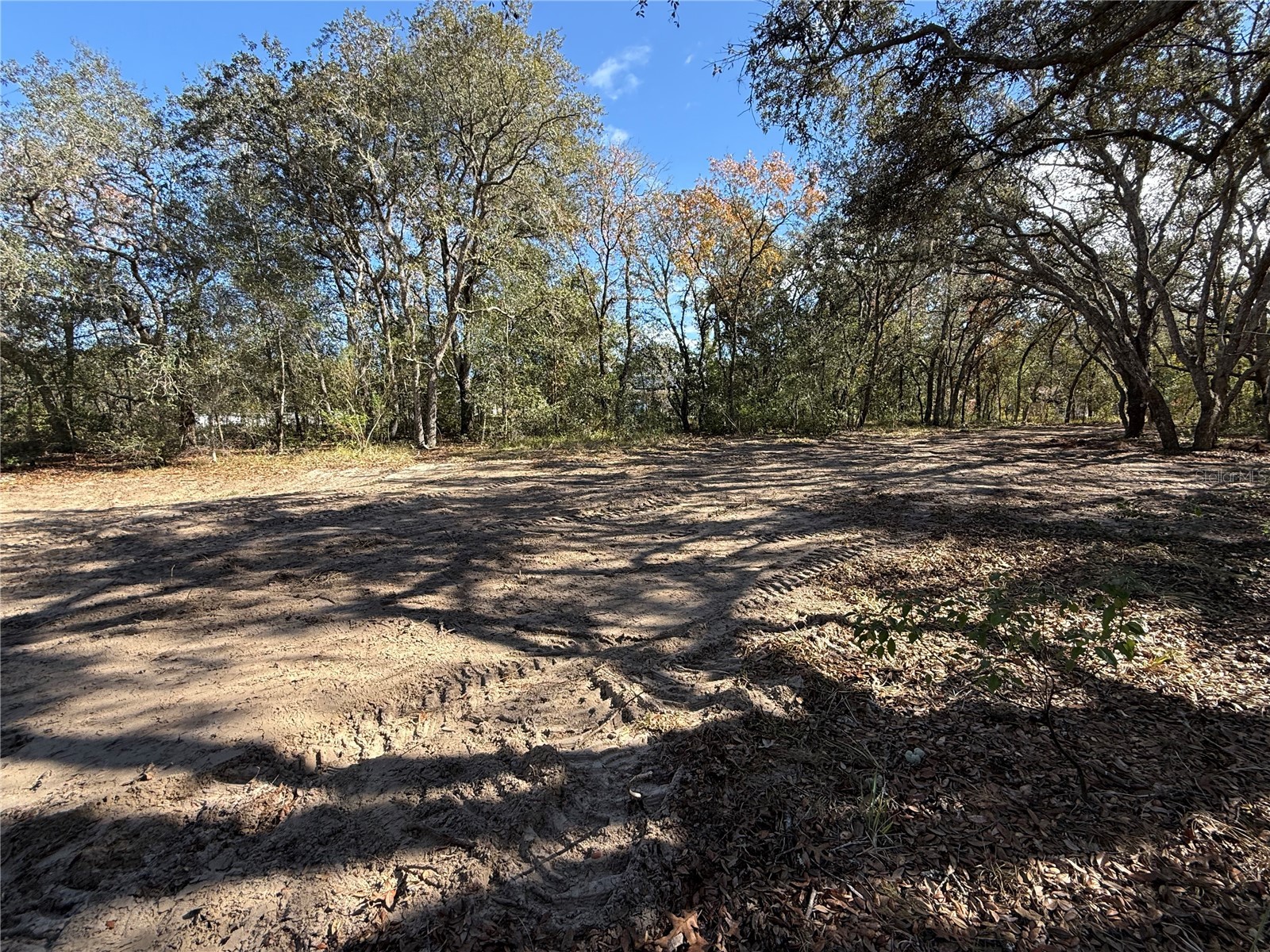 131 W Massachusetts Street Hernando FL 34442 TB8466039 image6