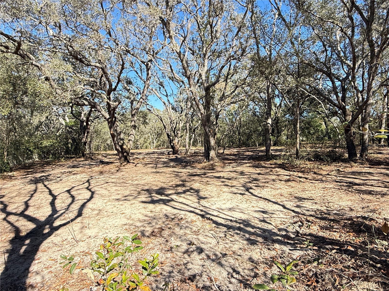 131 W Massachusetts Street Hernando FL 34442 TB8466039 image7