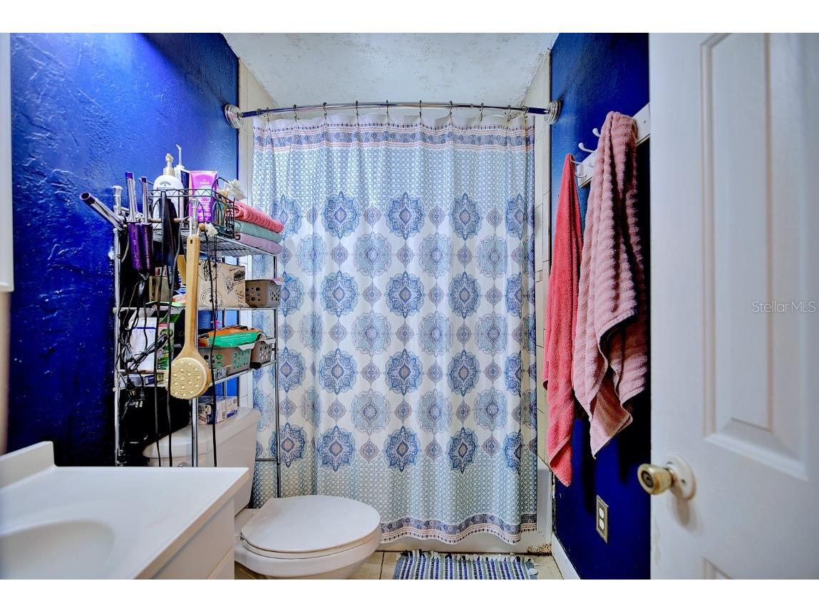 131 Wiggins Avenue Avon Park FL 33825 L4956292 image20