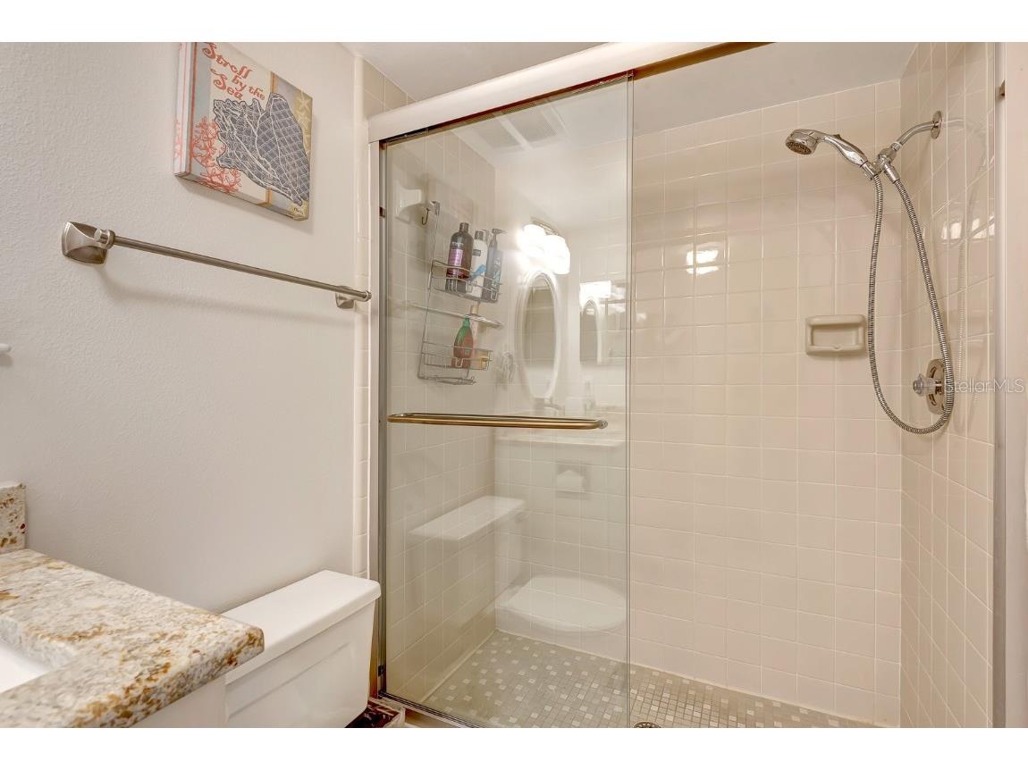 131 Wild Palm Drive Bradenton FL 34210 A4666425 image19