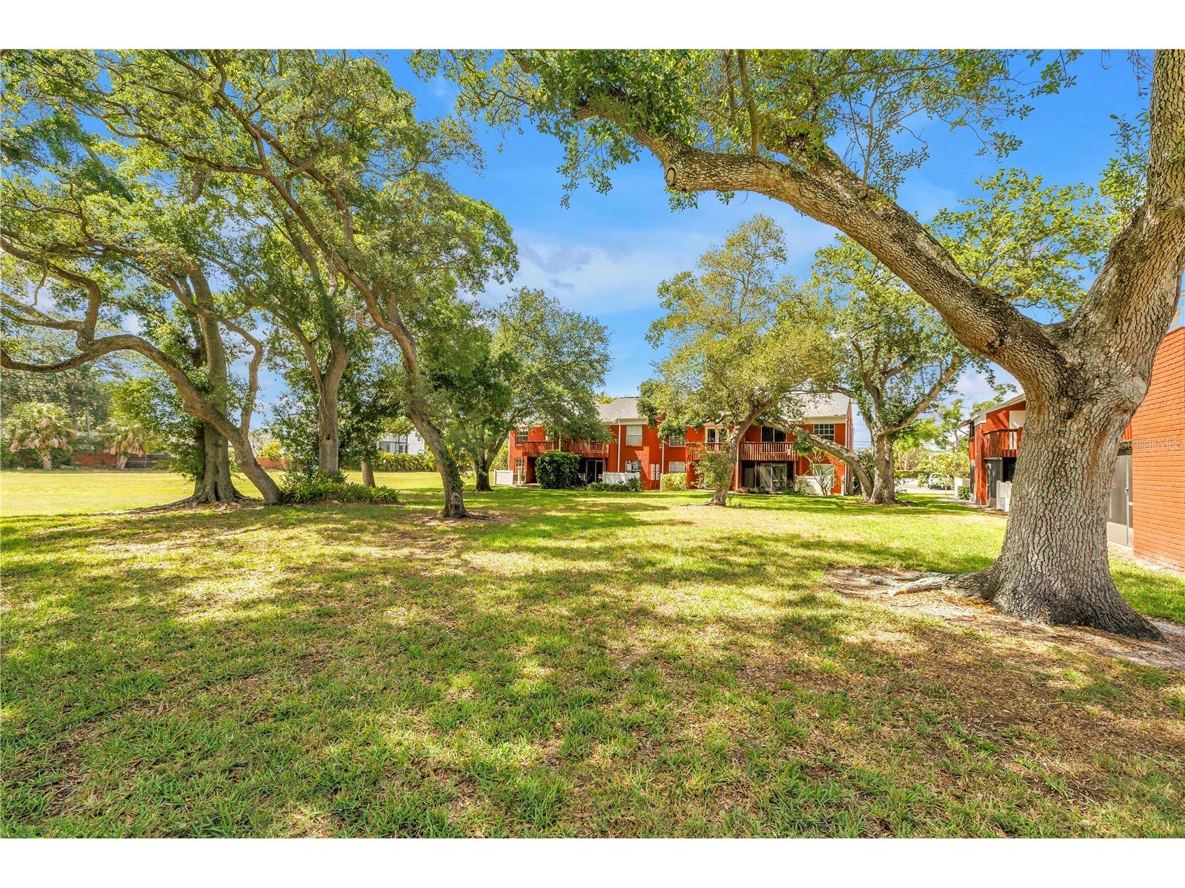 1310 83rd Avenue N #D Saint Petersburg FL 33702 TB8505911 image29