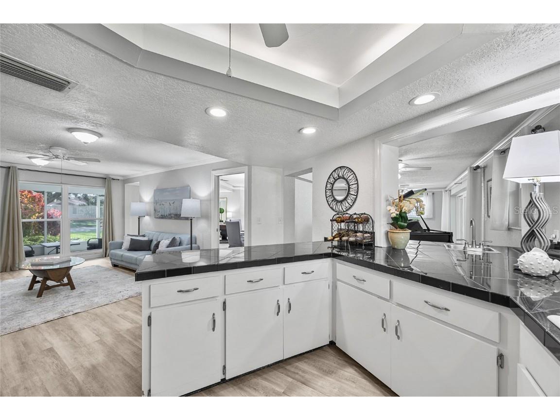 1310 Fairway Drive Dunedin FL 34698 TB8417307 image15