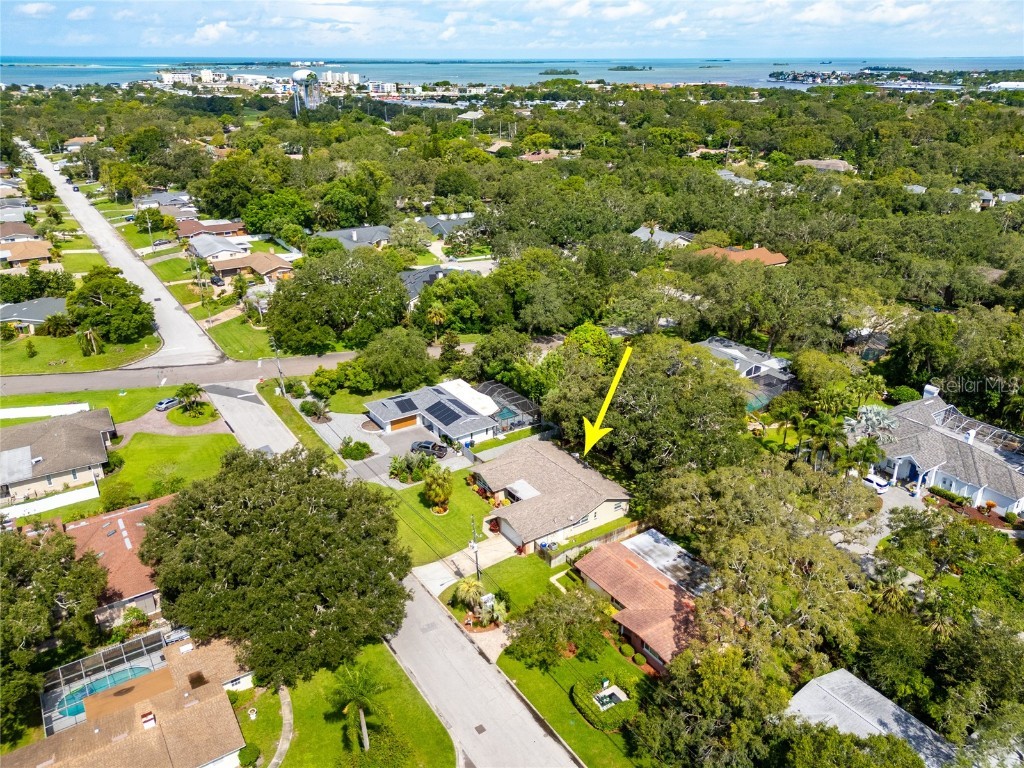 1310 Fairway Drive Dunedin FL 34698 TB8417307 image34