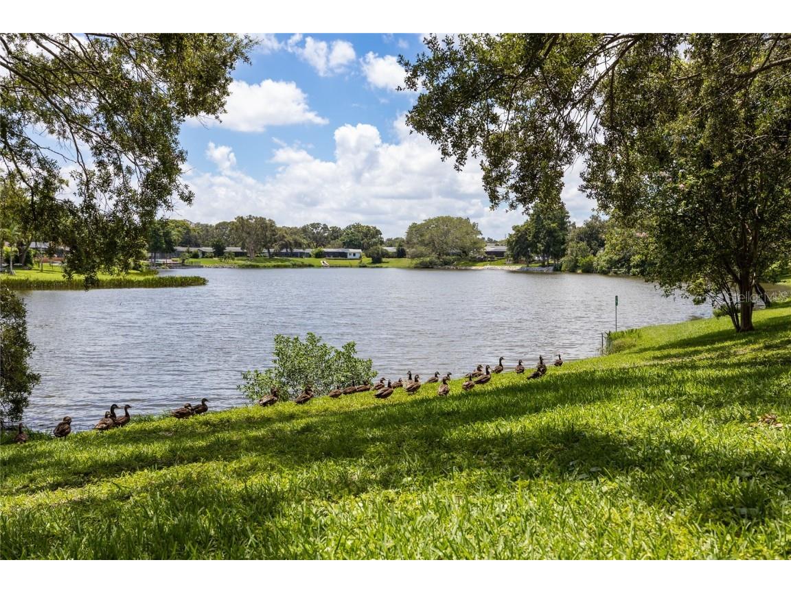 1310 Fairway Drive Dunedin FL 34698 TB8417307 image38