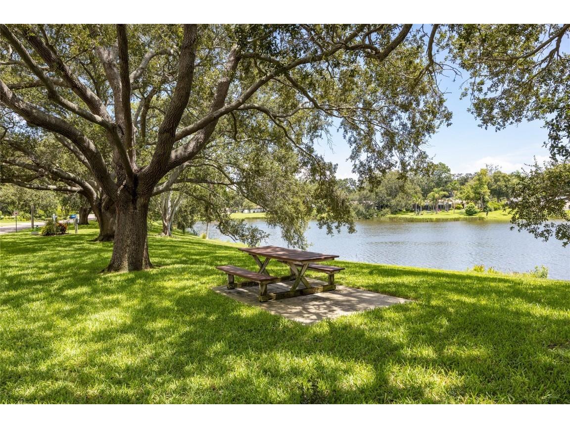 1310 Fairway Drive Dunedin FL 34698 TB8417307 image40