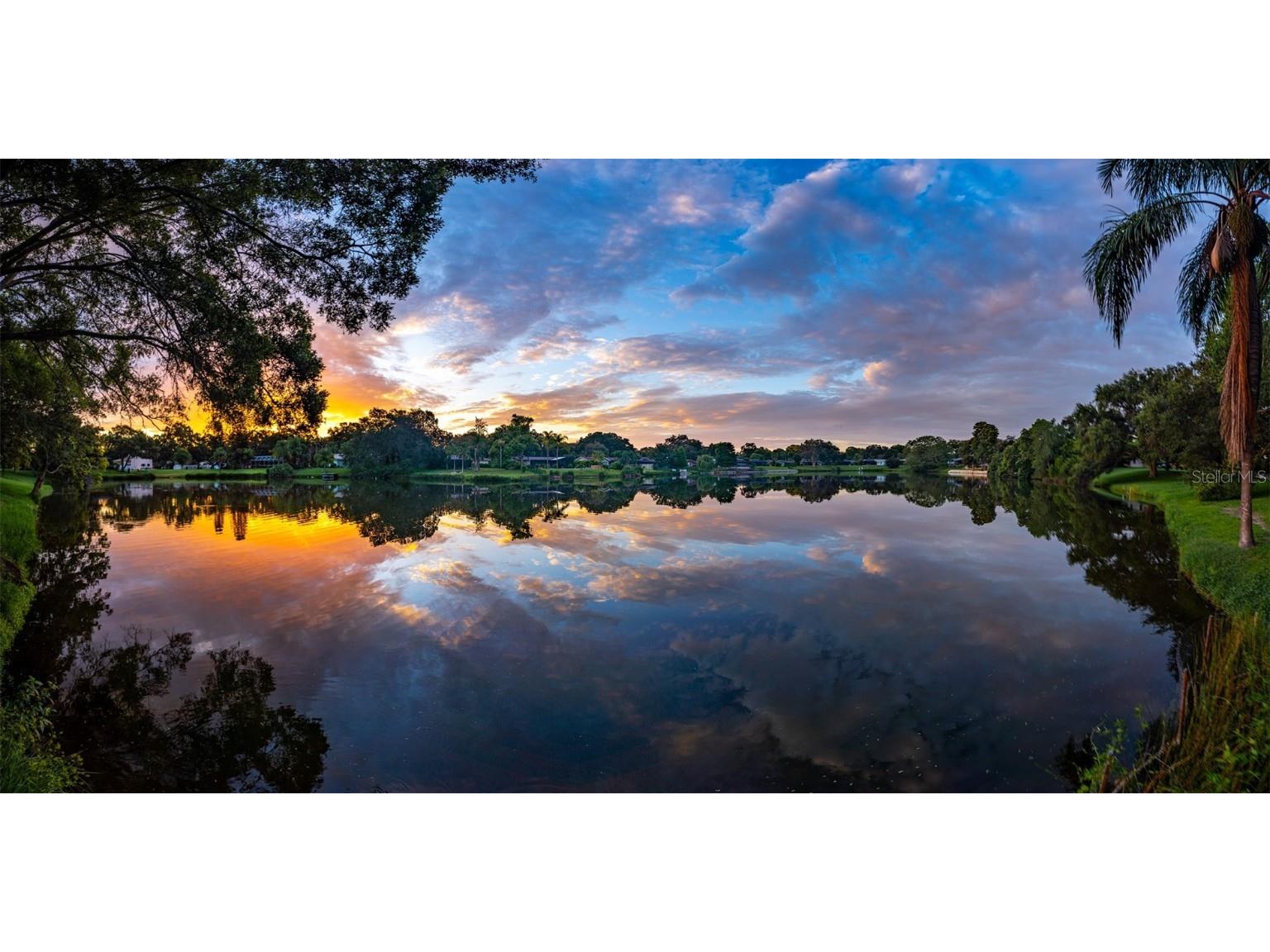 1310 Fairway Drive Dunedin FL 34698 TB8417307 image41