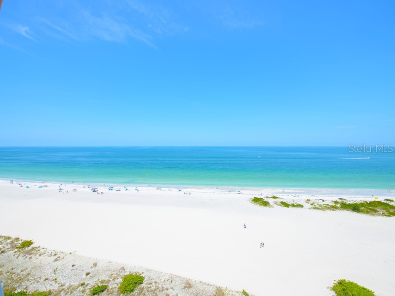 1310 Gulf Boulevard #12E Clearwater Beach FL 33767 - GULF OF MEXICO TB8444076 image3