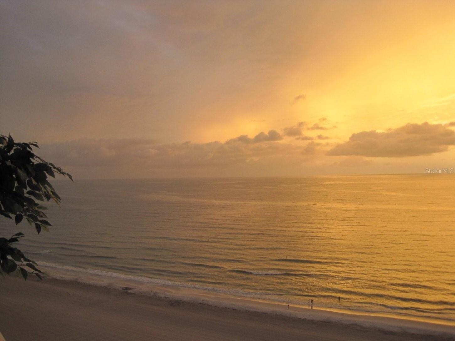 1310 Gulf Boulevard #15E Clearwater Beach FL 33767 TB8444447 image23