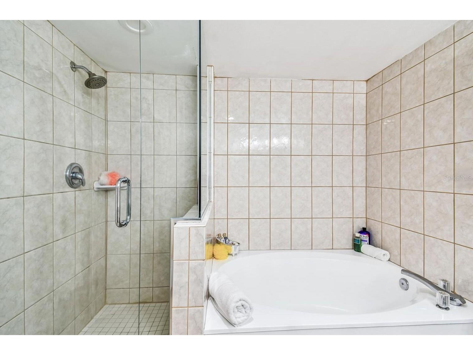 1310 Gulf Boulevard #6D Clearwater Beach FL 33767 - GULF OF AMERICA INTERCOASTAL TB8506861 image19