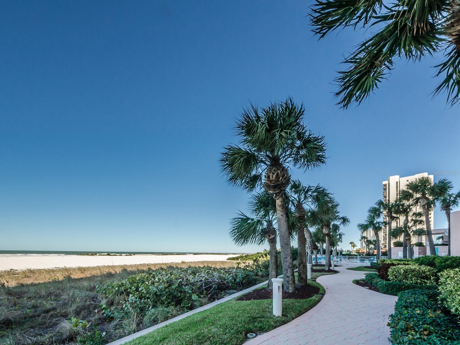 1310 Gulf Boulevard #PENTHOUSE A Clearwater Beach FL 33767 - GULF OF MEXICO TB8496688 image42