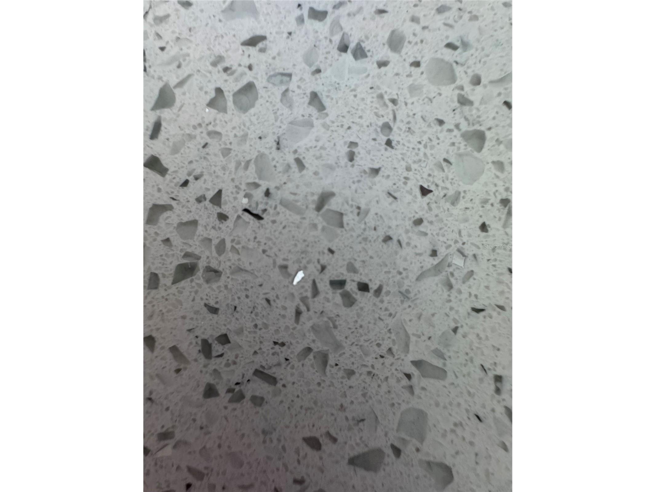 1310 Homosassa Drive Kissimmee FL 34759 S5140085 image16