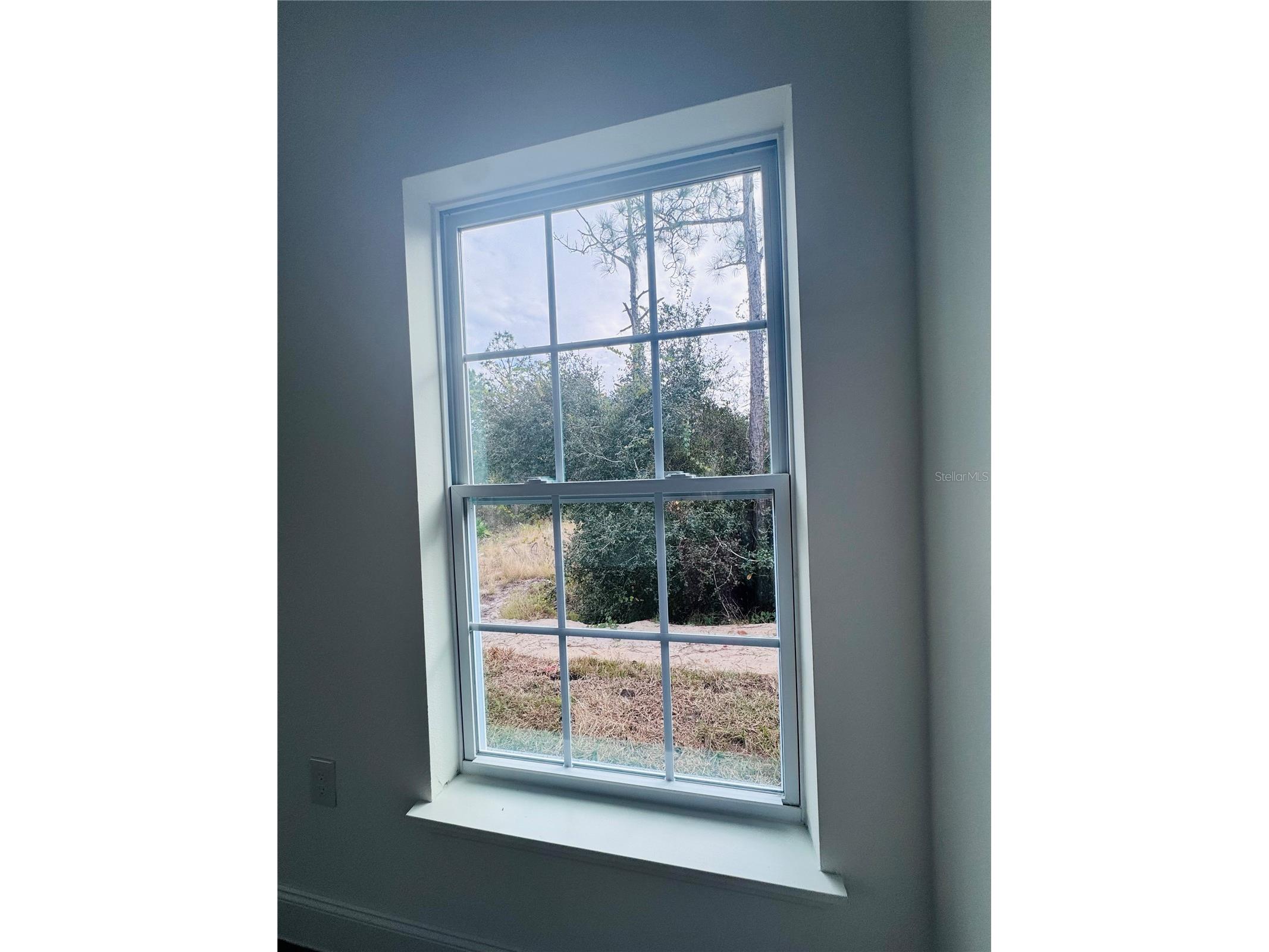 1310 Homosassa Drive Kissimmee FL 34759 S5140085 image39