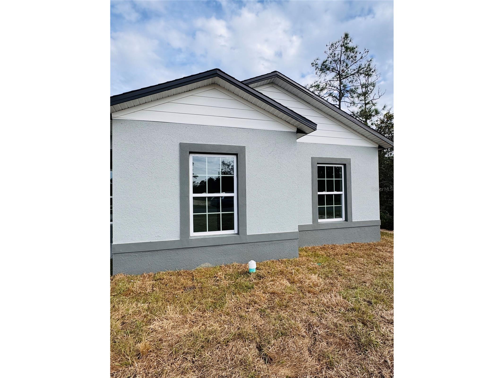 1310 Homosassa Drive Kissimmee FL 34759 S5140085 image5