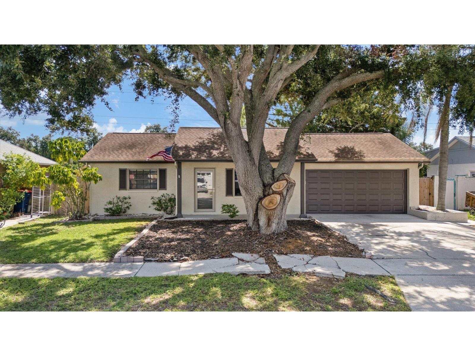 1310 Mandarin Drive Holiday FL 34691 TB8532098 image1