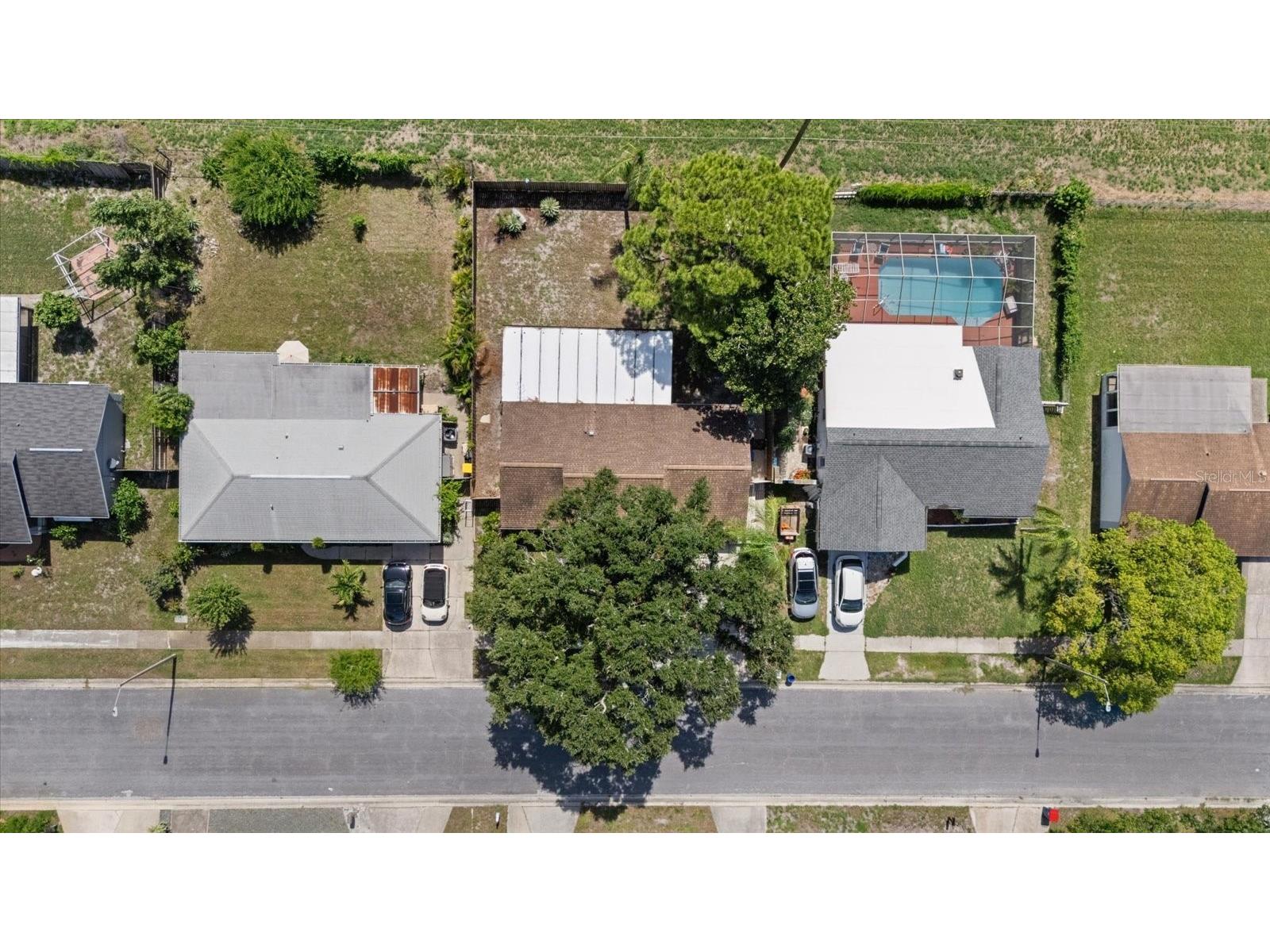 1310 Mandarin Drive Holiday FL 34691 TB8532098 image3
