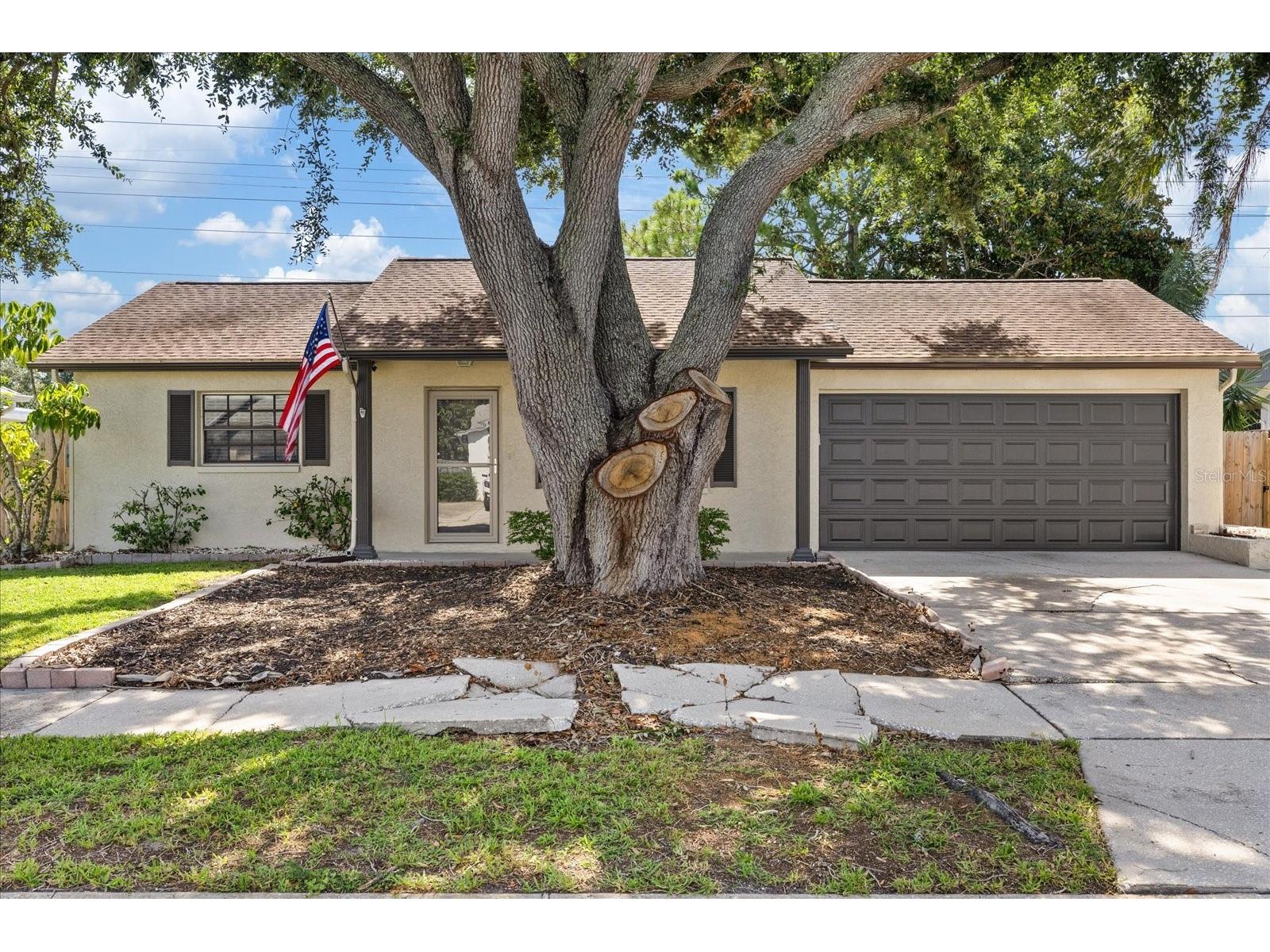 1310 Mandarin Drive Holiday FL 34691 TB8532098 image4