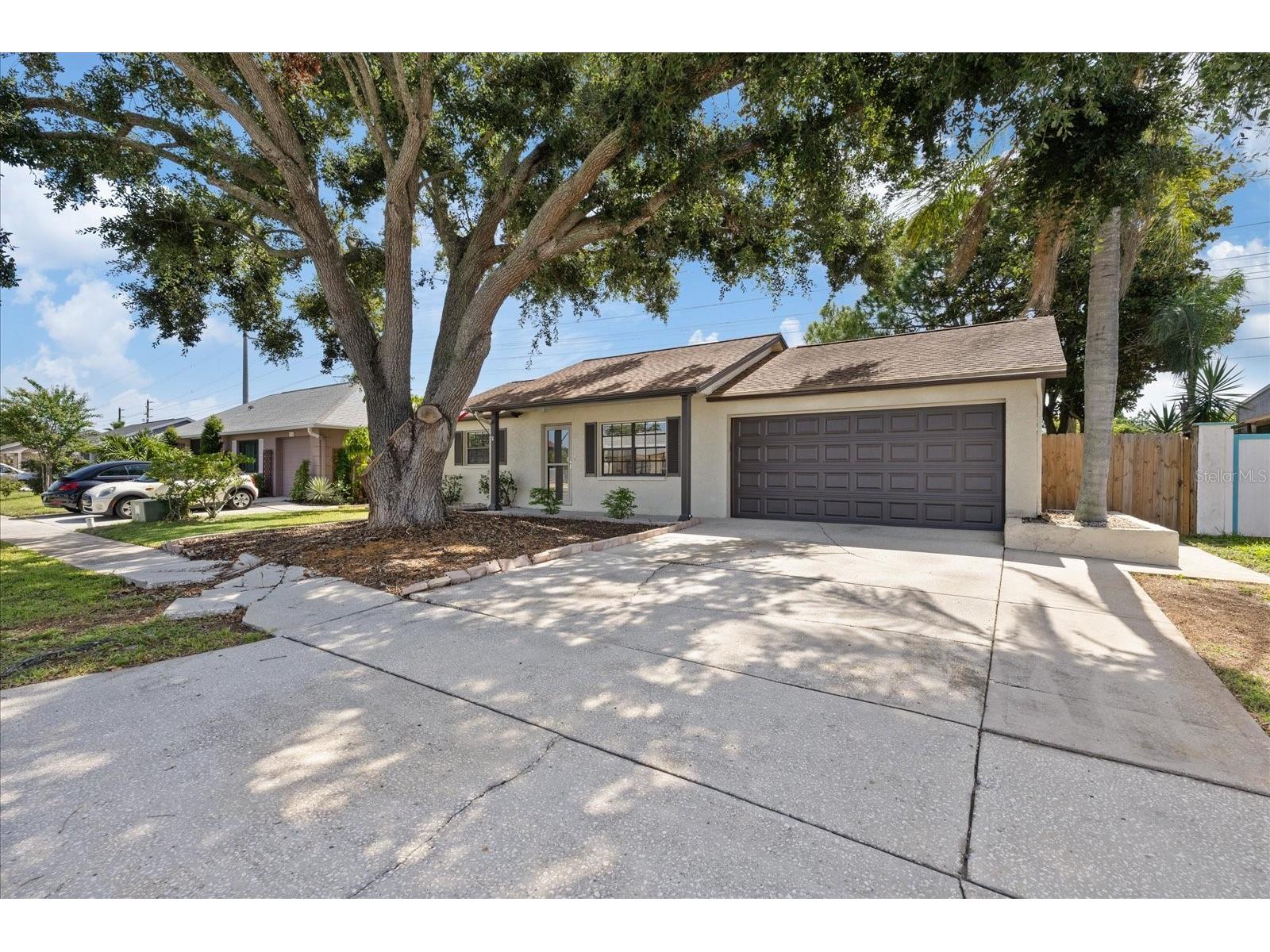 1310 Mandarin Drive Holiday FL 34691 TB8532098 image5