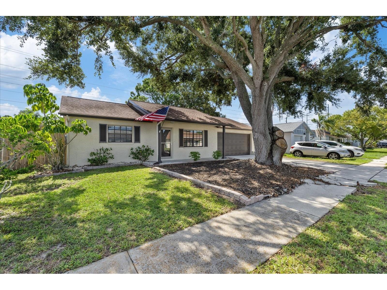 1310 Mandarin Drive Holiday FL 34691 TB8532098 image6