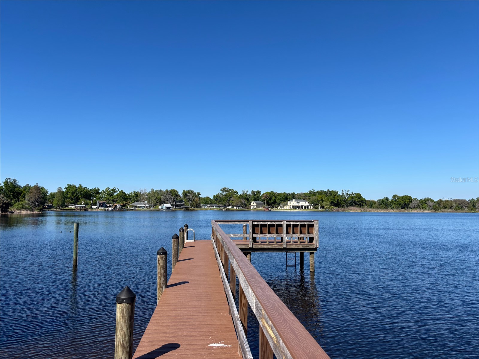 1310 Oxbridge Drive Lutz FL 33549 - HOG ISLAND LAKE TB8488736 image3