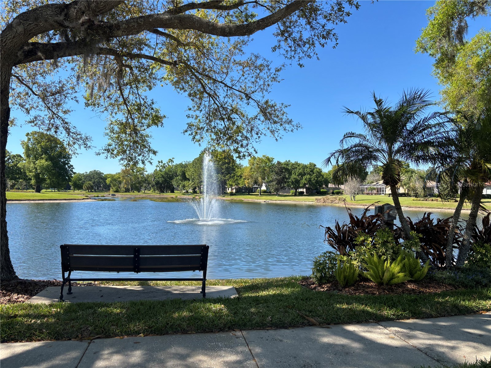 1310 Oxbridge Drive Lutz FL 33549 - HOG ISLAND LAKE TB8488736 image39
