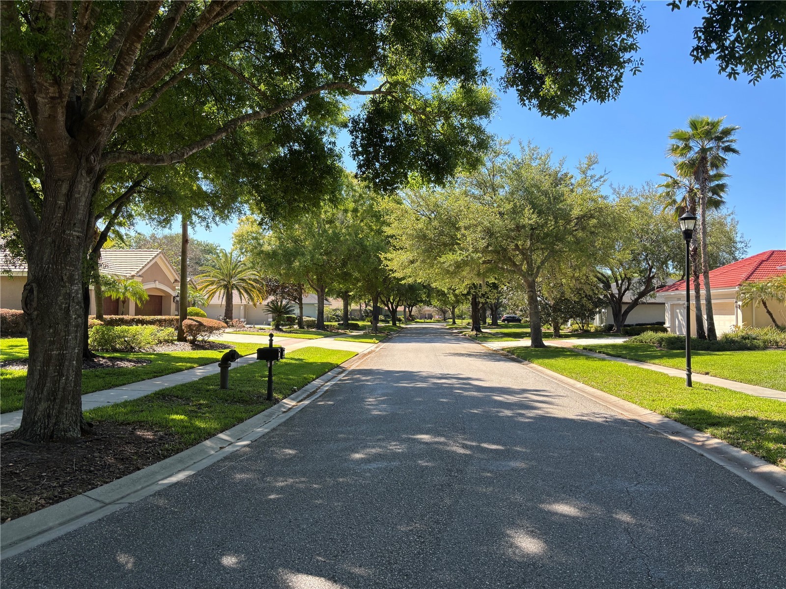 1310 Oxbridge Drive Lutz FL 33549 - HOG ISLAND LAKE TB8488736 image40