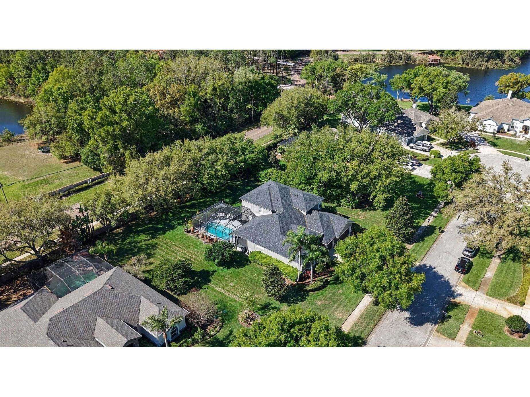 1310 Oxbridge Drive Lutz FL 33549 - HOG ISLAND LAKE TB8488736 image43