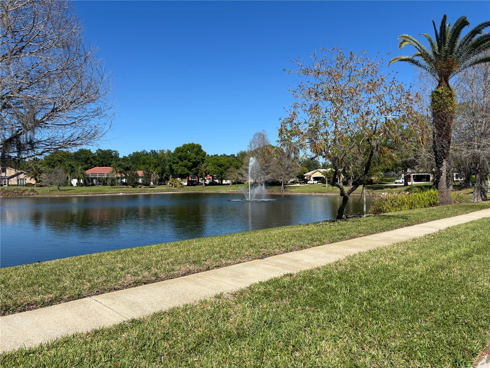 1310 Oxbridge Drive Lutz FL 33549 - HOG ISLAND LAKE TB8488736 image48