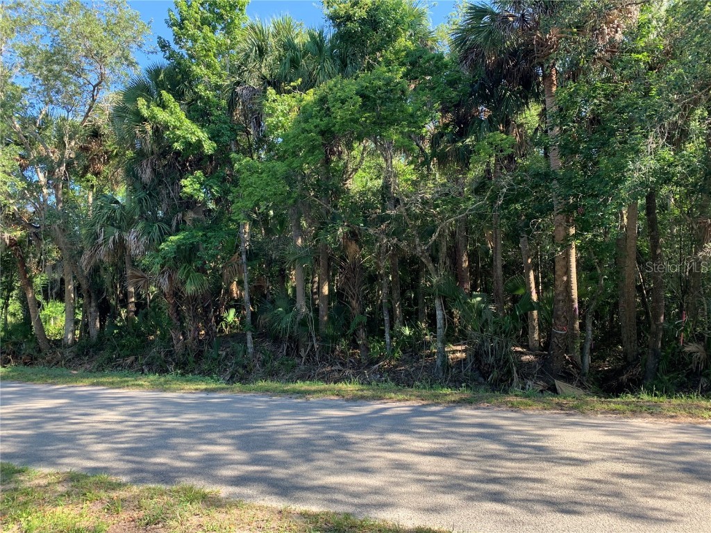 1310 Palm Way Sanford FL 32773 O6358219 image4