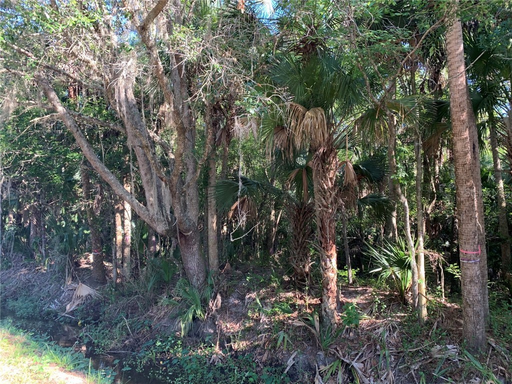 1310 Palm Way Sanford FL 32773 O6358219 image5