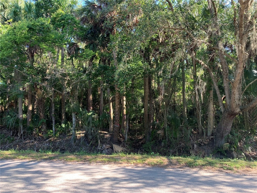 1310 Palm Way Sanford FL 32773 O6358219 image6