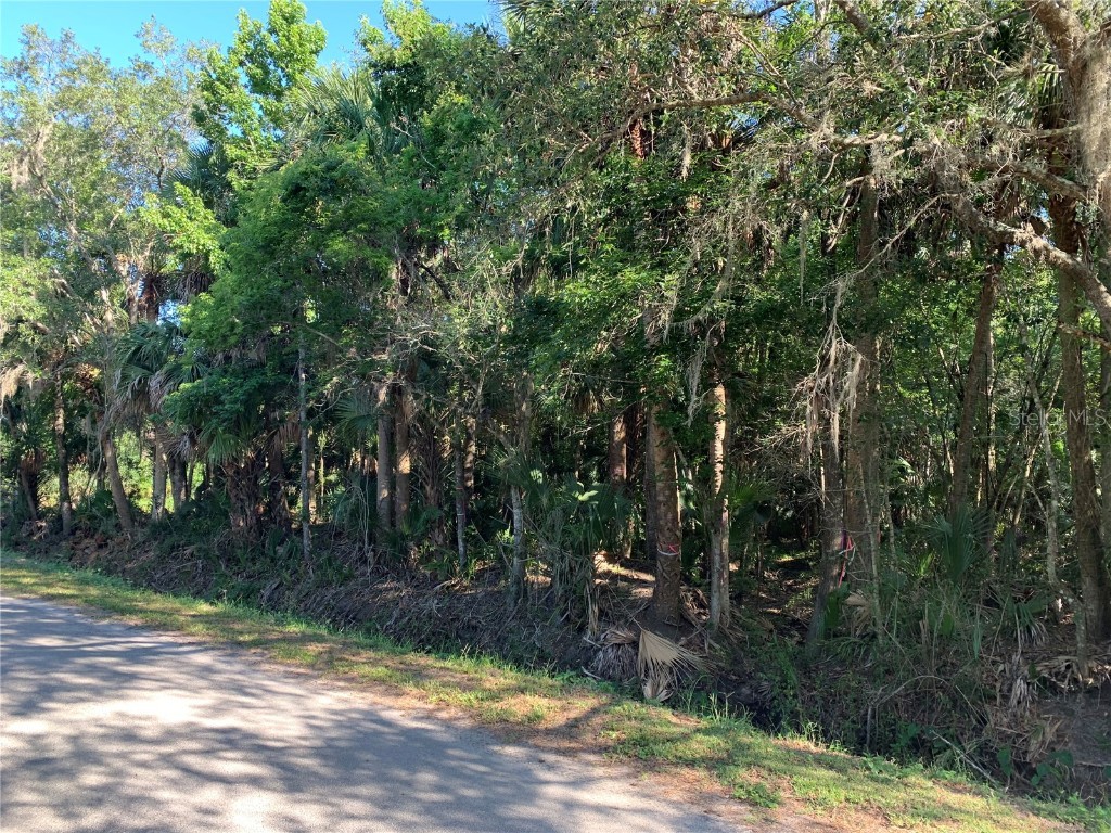 1310 Palm Way Sanford FL 32773 O6358219 image7