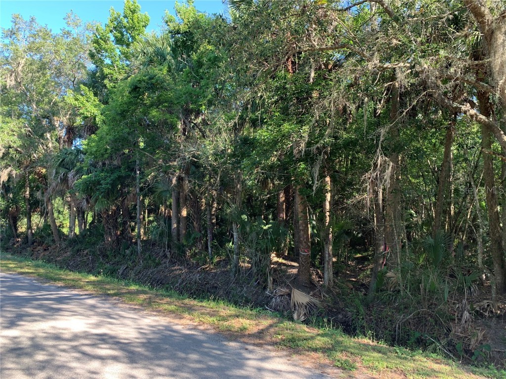 1310 Palm Way Sanford FL 32773 O6358219 image8