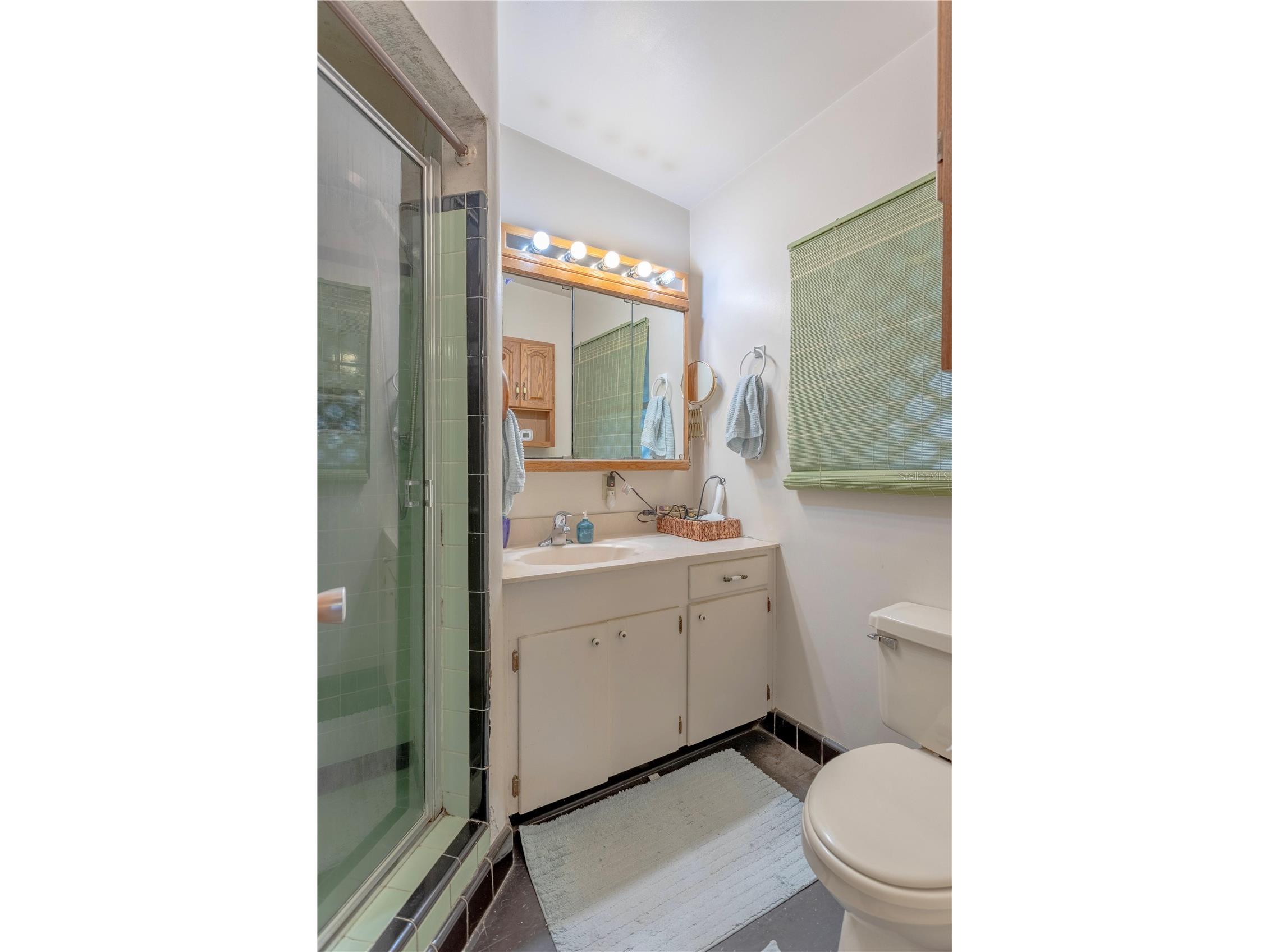1310 Roscomare Avenue Orlando FL 32806 O6410105 image19