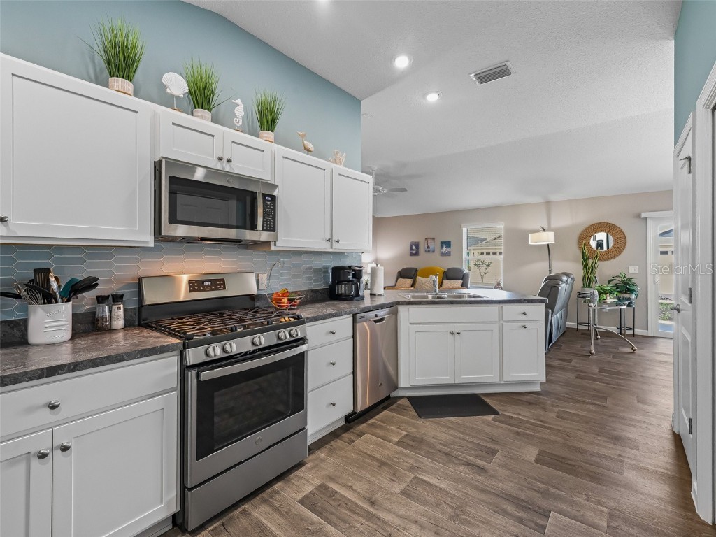 1310 Tate Terrace The Villages FL 32163 OM705537 image11