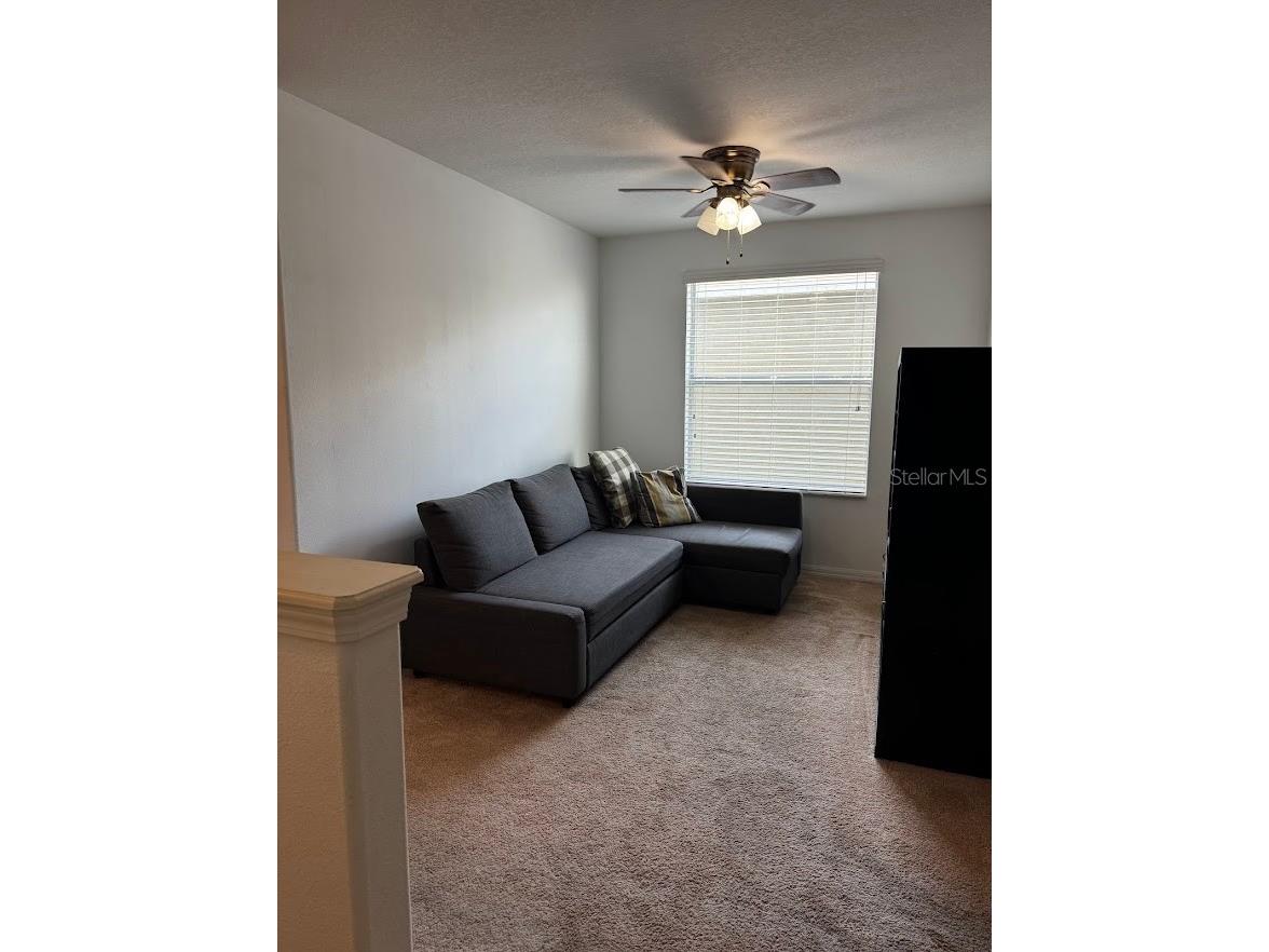 1310 Trailwater Street Ruskin FL 33570 TB8509234 image22