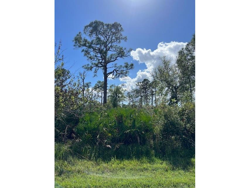 13100 Eleanor Avenue Port Charlotte FL 33953 C7500347 image1