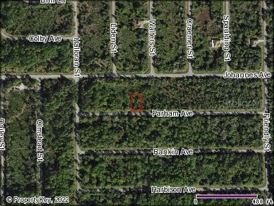 13100 Parham Avenue Port Charlotte FL 33953 C7462864 image1