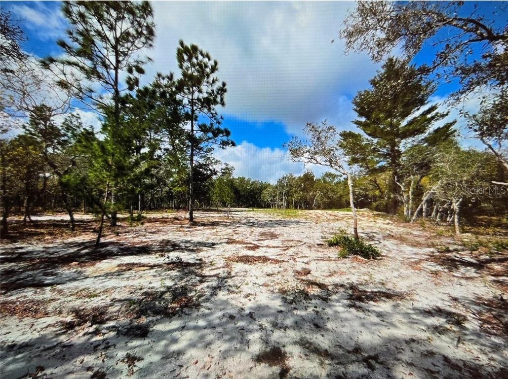 13100 Saddleback Trail Hudson FL 34667 TB8341430 image1