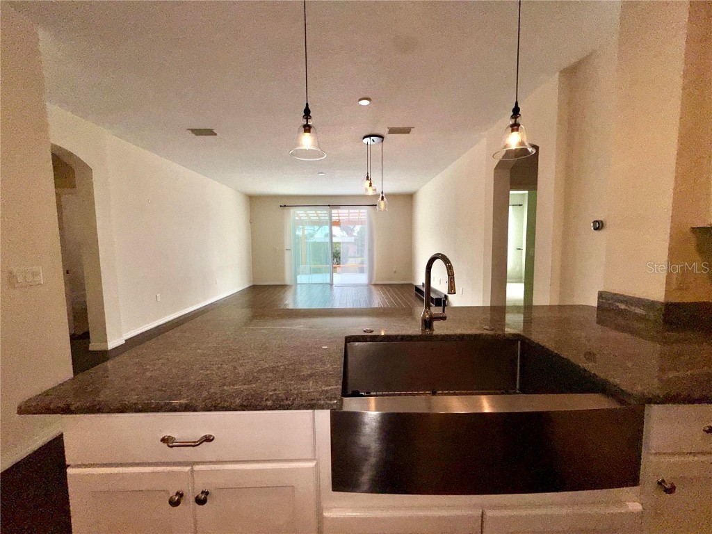 13101 Done Groven Drive Dover FL 33527 TB8438019 image20